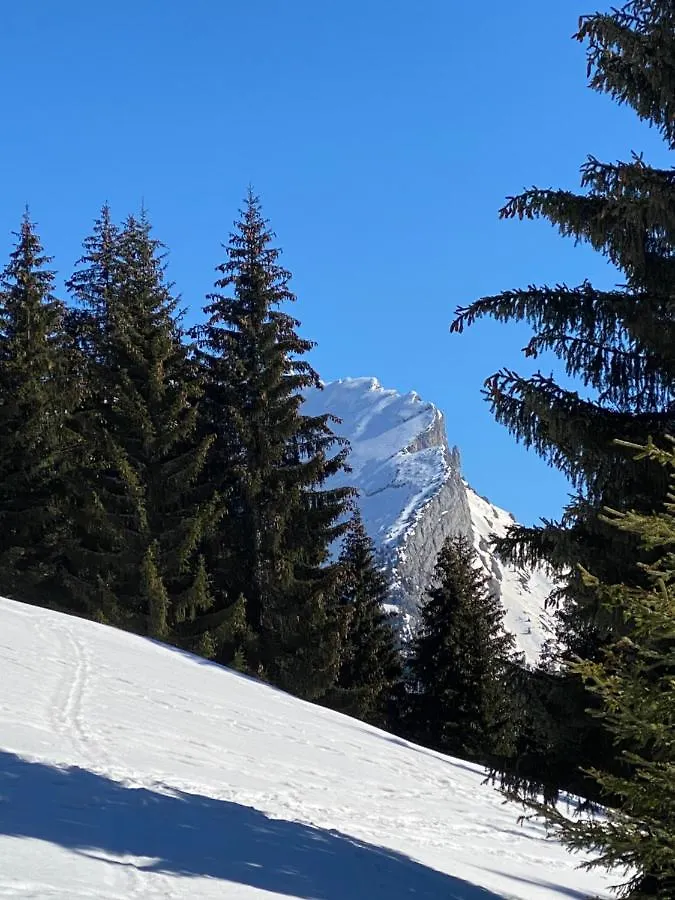 Appartement Les bouquetins à La Clusaz
