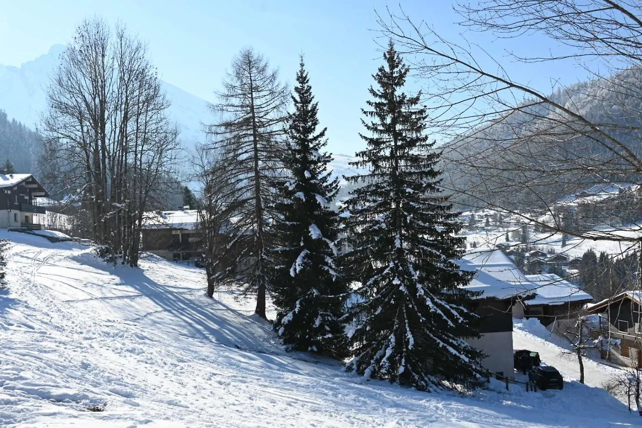 Appartement Les bouquetins à La Clusaz