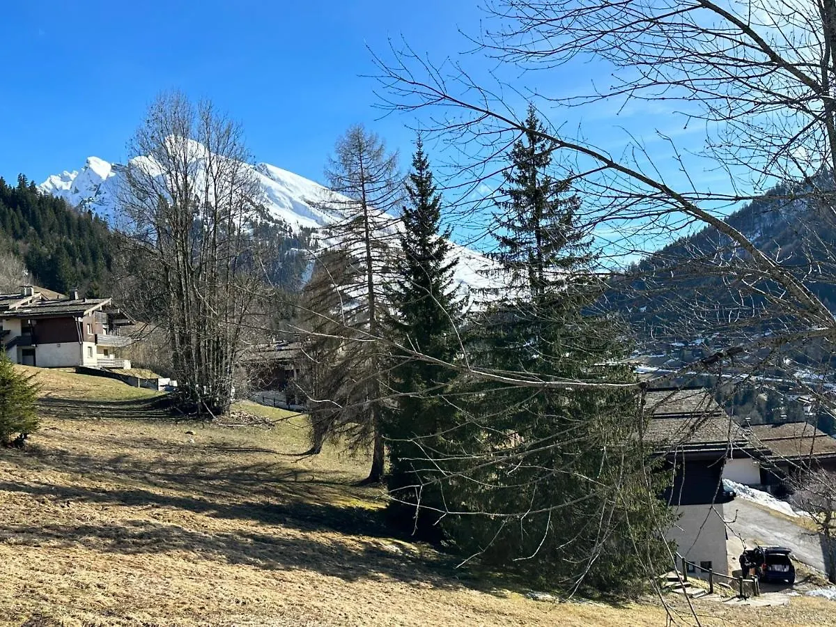 Appartement Les bouquetins à La Clusaz 0*,
